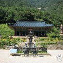 삼화사 Daum카페