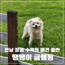 전남 | [장흥] 땡땡이글램핑 : 프리미엄 9동 후기 | 전남 장흥 정남진 수목원 애견 동반 글램핑