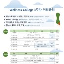 웰니스미