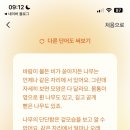 고기의 민족 이미지