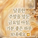 에이스환경