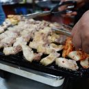 제주토종똥돼지 이미지
