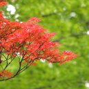 상동호수공원 이미지