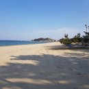 양양에 살다 이미지