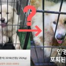 기자농장 이미지