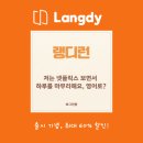 [성인 및 어르신] 기초영어 | 영어회화 어플 추천, 원어민 사고방식 익히는 성인 기초 영어회화 앱