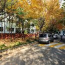 중동로49번길 이미지