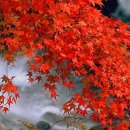 주식회사 청명 이미지