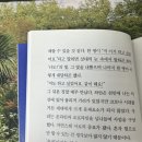하이큐와 맘마미아로 붙잡고 있는 여름..