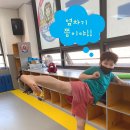 경희대 다산 태권도 이미지