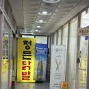 [서현역 미용실] 살롱고은 보경 부원장님 두피 클리닉 후기 🌿