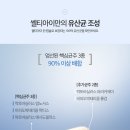 온맘약국 네이버블로그