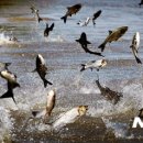 (주)대호환경 이미지