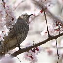 작전 풍림아이원아파트 이미지