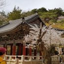 불국사박물관 이미지