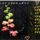 이파리 이미지