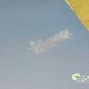 작가와 함께 하는 동화창작 이미지