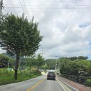 용문산그린펜션 이미지