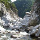 금화고속관광 이미지