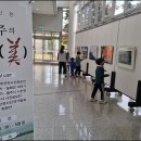 뜨락화원