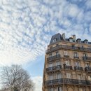 몽몽드(mon mon de) | 2026년 1월 파리 여행 5일차_쿨레베르트 산책길, 피노 컬렉션, 한식당 잔치, 카페 telescope, 리슐리외...