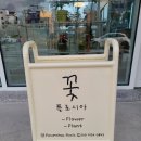 플로시아 이미지