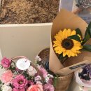 동구꽃백화점 | 동대구역 꽃집 ‘빌리디언리프’ 신세계백화점 대구점 한송이꽃 내돈내산 후기