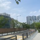 대영고등학교 이미지