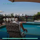 오카소 애견 온수 수영장펜션 객실 구성과 예약 방법