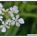 탄천변(탄천좌안) 이미지