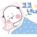 깐돌이네 애견미용호텔 이미지