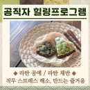농업기술센터 동부상담소 | 공직자 힐링 프로그램 / 공무원 직무 스트레스 해소를 위한 라탄 공예 채반 만들기 4회 과정