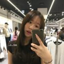 헤이즐톤 이미지
