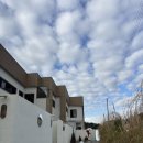 시인의집펜션 | 진도 하루 펜션 #감성 숙소