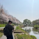 [신랑예복] 맞춤 vs 기성복 총정리 | 업체/브랜드/가격대 비교, 추천