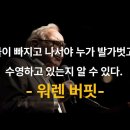 버블독 이미지