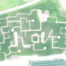 복룡농장 이미지