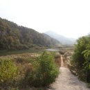 녹색마을길 이미지