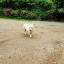 용담대물 이미지