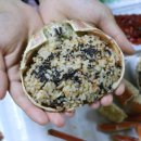 대영내장 이미지