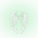 천사날개 이미지