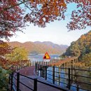 삼척엘피지충전소 이미지