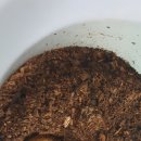 힐링농장 이미지