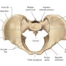 전스짐&티케필라테스 이미지