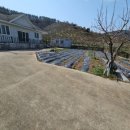 동읍1157 이미지