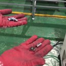 메테오(METEOR) 이미지