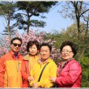 양평1동-4 이미지