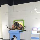 관마로 | 인천 실내 아이랑 가볼만한곳 곤충박물관 와일드벅스 곤충탐험대 주말 후기
