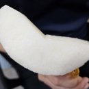 나주배 이미지