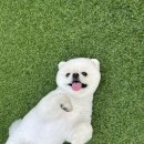 모래내약국 이미지